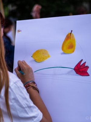 IMG_0905-240